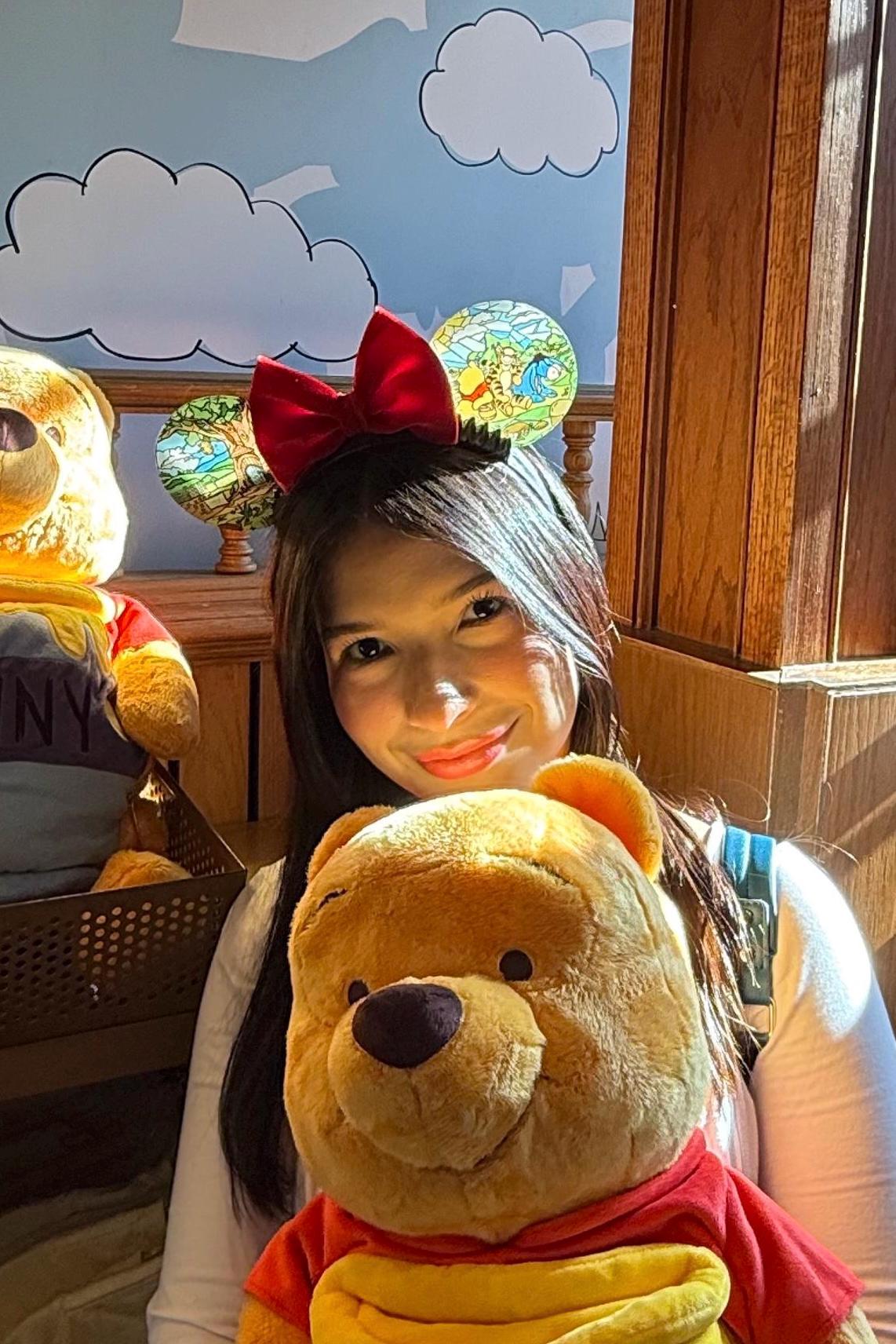 Winnie the Pooh acrylic disney ears, Pooh and friends stained glass window mouse ears, hundred acre wood Minnie ears