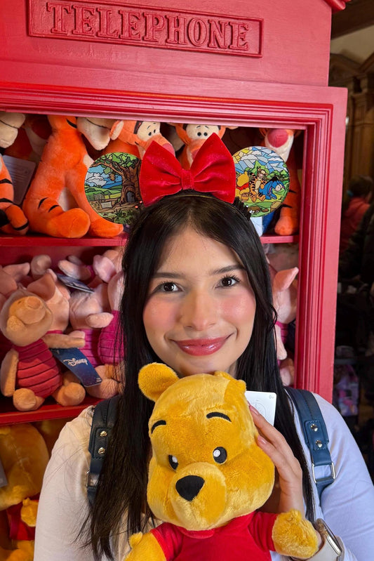Winnie the Pooh acrylic disney ears, Pooh and friends stained glass window mouse ears, hundred acre wood Minnie ears